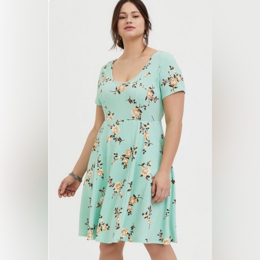 Mint Green Floral Textured Mini Skate Dress size 2